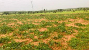 ĐẤT NÔNG NGHIỆP HÒA THẮNG – GẦN BÀU TRẮNG, CÁCH BIỂN 5–7KM
