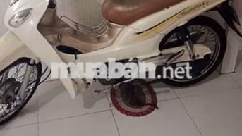 Xe 50 học sinh