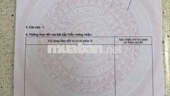 Nền Phù Hợp Ở Hoặc Đầu Tư Sinh Lời