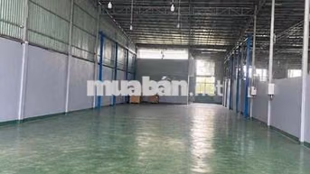 Cho Thuê Kho Xuân Thới Sơn Hóc Môn
