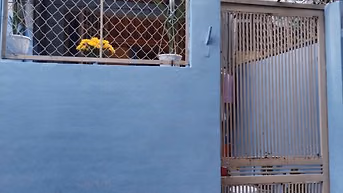 Bán nhà hẻm 290 Nơ Trang Long, phường Bình Thạnh, TP.Hồ Chí Minh