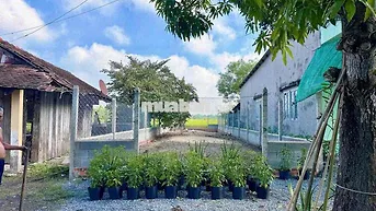 Chính Chủ Gửi 186m2 Đất Gần Bến Xe Củ Chi ( Giá Rẻ 800Tr )