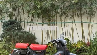Super Cub ABS Xám Châu Âu odo 1800 km