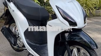 vision 2018 máy zin kiểng 