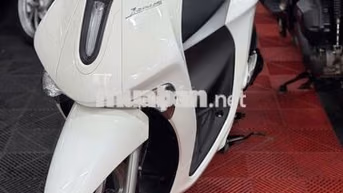 Yamaha Janus 2024 119km, Chính chủ ký