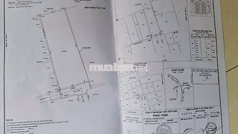 đất phân lô 1570m thổ cư DT 27x58 hẻm 6m giá rẻ SHR