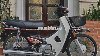 Honda Dream 2023 màu Đỏ mận, Trắng