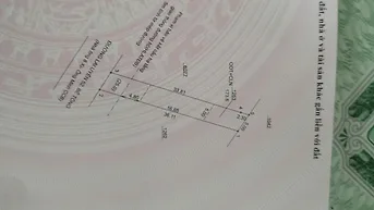 Bán đầy bển tại lai uyên. Bầu bàng 