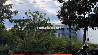 Bán lô đất mt đại la 2 liên chiểu gần Hoàng Văn Thái