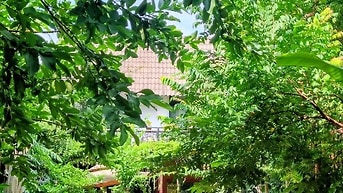 CHO THUÊ NHÀ SÂN VƯỜN RỘNG 450M2, PHÙ HỢP KD VƯỜN BIA, CAFE