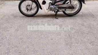 Honda Dream Thái Trắng, Nâu