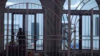 Chỗ thuê hải căn hộ song lập ,  nhà vườn , có thể kinh doanh