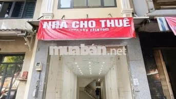 Cho thuê nhà Mặt tiền Hải Thượng Lãn Ông, Q5-4,2x20m-4 Tấm-4p4w
