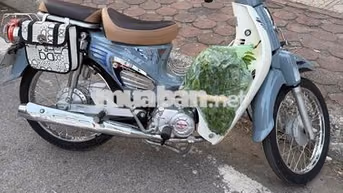 Honda Cup 50cc 2025 Xám