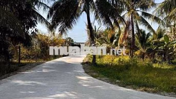 Đất Sơn Đông thành phố Bến Tre ngay lộ Vườn Tiêu