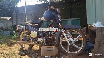 xe cub màu xanh