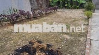 💥 Hiếm Nhỏ Tiền💥 Bán 65m2 Đất Vàng Do Hạ, Tiền Phong, đường 3m 🚘 đỗ