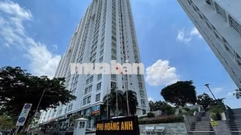 cho thuê căn hộ giá rẻ tại phú hoàng anh  2-3-4pn