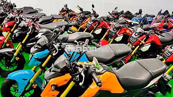 Honda MSX125 Đa dạng