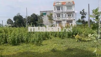 ⁠Bán đất nền chính chủ xã Long Cang Cần Đước Long An, sổ hồng riêng