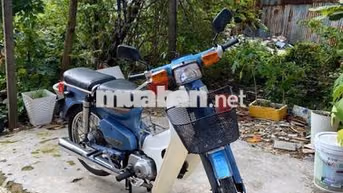 Honda Cub 50cc Xanh Trắng