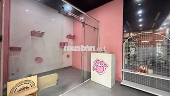 CHÍNH CHỦ CHO THUÊ MBKD HẺM OTO - ĐƯỜNG NGÔ TẤT TỐ / BÌNH THẠNH