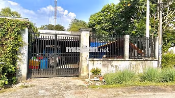 Dòng tiền 9tr5/th đất FULL thổ, chợ Việt Kiều, Tân Thông Hội,  Củ Chi