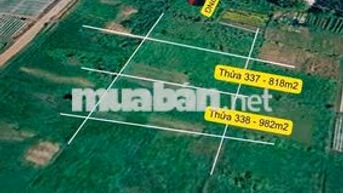 1800m2 đất nông nghiệp Tân Thạnh Đông - 22km từ Sài Gòn