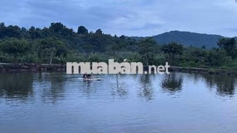 cho thuê nhà vườn đường liên thôn 8 gần đoàn thành