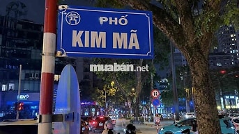 Cho thuê nhà mặt phố vị trí Vàng,đẹp nhất phố Kim Mã Ba Đinh