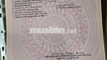 Cần bán gấp đất nền thổ cư chính chủ tại Tây Ninh ( Long An cũ)