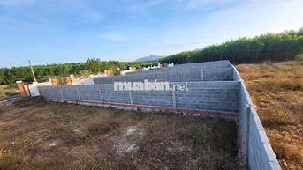 BÁN ĐẤT VEN BIỂN PHƯỚC HẢI LÔ 2 MẶT TIỀN 234M² GIÁ CHỈ 2,2 TỶ