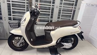 Honda Scoopy 2024 Xe tay ga