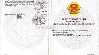 Cần bán gấp căn chung cư Hồng Loan 6A