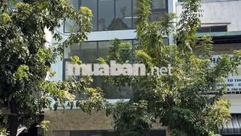 🏢 CHO THUÊ TÒA NHÀ – CỘNG HÒA, TÂN BÌNH/ 🏢 出租办公楼｜Cộng Hòa路 · 新平郡