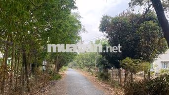 cần bán 120 mét ngang đất mặt tiền đường nhựa