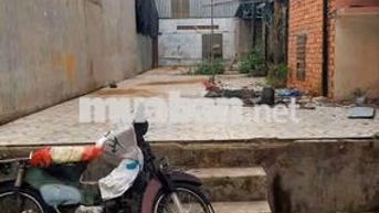 BÁN GẤP LÔ 103/ CHIẾN LƯỢC 4X20M - THỔ CƯ 100% - 4 TỶ 300TR  TL