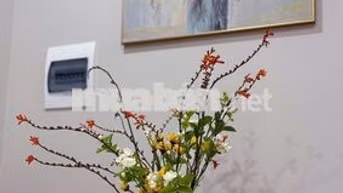 CHO THUÊ NHÀ NGUYÊN CĂN BA ĐÌNH Ô TÔ ĐỖ CỬA.