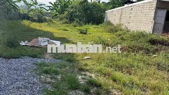 chính chủ bán đất đường hoàng phê  hoà sơn phường hoà khánh đà nẵng