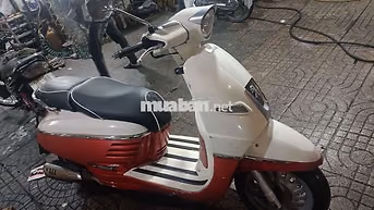 Peugeot Django châu Âu