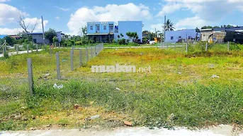 Chính chủ cần ra nhanh 300m2 đất CLN gần Ngã Tư Xoài Đôi.Cần Giuộc