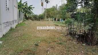 Bán lô đất 210m2 - 650 triệu đường nhựa xã Phước Vĩnh An huyện Củ Chi