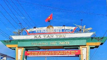 Bán xả 219,4m2 thổ chốt 330tr, Tân Trụ, Long An