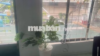 cho thuê nhà hẻm xe hơi đường Nguyễn Văn đậu