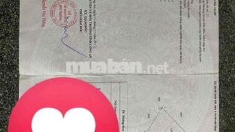 chú 3 bán gấp 1279m2 đất lúa kế vinghomes Hậu nghĩa - Shr