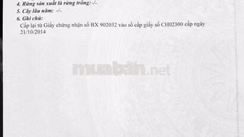 Bán Đất có Nhà Cấp 4 - Tân Hòa, Phú Mỹ, Bà Rịa - Vũng Tàu