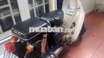 Honda Cub Trắng, Xanh