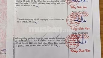 Chính Chủ Bán Toà Nhà VIP HXH 311 Nơ Trang Long 7,39x9,19 CN 53,1 6pn