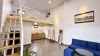 CHO THUÊ CĂN HỘ DẠNG DUPLEX ĐƯỜNG TÔ HIỆU PHƯỜNG 7