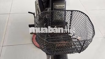 Xe máy Deahan Dream Hàn Quốc Baga chở hàng